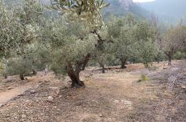 Excellent Plot of land for sale in Pratdip L Hospitalet de l Infant Tarragona Spain Excellent Plot of land for sale in Pratdip L Hospitalet de l Infant Tarragona Spain