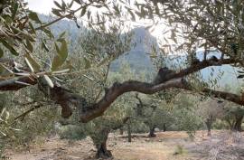 Excellent Plot of land for sale in Pratdip L Hospitalet de l Infant Tarragona Spain Excellent Plot of land for sale in Pratdip L Hospitalet de l Infant Tarragona Spain