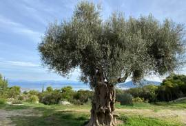 Excellent Plot of land for sale in Pratdip L Hospitalet de l Infant Tarragona Spain