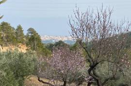 Excellent Plot of land for sale in Pratdip L Hospitalet de l Infant Tarragona Spain Excellent Plot of land for sale in Pratdip L Hospitalet de l Infant Tarragona Spain