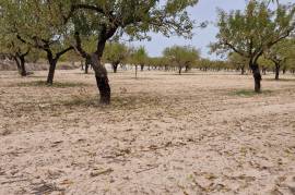 Excellent Plot of land With Planning Permission For Sale in Moratalla Murcia Spain Excellent Plot of land With Planning Permission For Sale in Moratalla Murcia Spain
