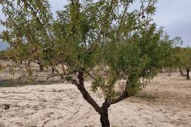 Excellent Plot of land With Planning Permission For Sale in Moratalla Murcia Spain Excellent Plot of land With Planning Permission For Sale in Moratalla Murcia Spain