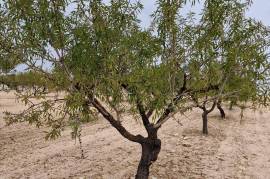 Excellent Plot of land With Planning Permission For Sale in Moratalla Murcia Spain Excellent Plot of land With Planning Permission For Sale in Moratalla Murcia Spain