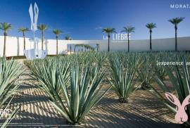 Excellent Plot of land With Planning Permission For Sale in Moratalla Murcia Spain Excellent Plot of land With Planning Permission For Sale in Moratalla Murcia Spain