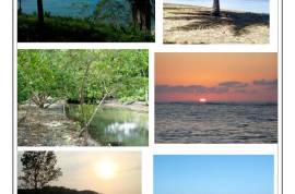 Excellent Plot of land for sale in Roatan Honduras Caribbean