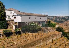 Farm with House, Vineyard and Historic Chapel in the Douro | Santa Marta de Penaguião Farm with House, Vineyard and Historic Chapel in the Douro | Santa Marta de Penaguião