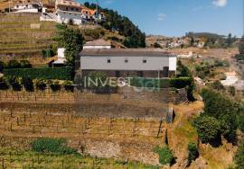 Farm with House, Vineyard and Historic Chapel in the Douro | Santa Marta de Penaguião Farm with House, Vineyard and Historic Chapel in the Douro | Santa Marta de Penaguião