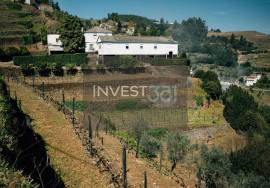 Farm with House, Vineyard and Historic Chapel in the Douro | Santa Marta de Penaguião Farm with House, Vineyard and Historic Chapel in the Douro | Santa Marta de Penaguião