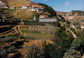 Farm with House, Vineyard and Historic Chapel in the Douro | Santa Marta de Penaguião