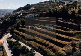 Farm with House, Vineyard and Historic Chapel in the Douro | Santa Marta de Penaguião Farm with House, Vineyard and Historic Chapel in the Douro | Santa Marta de Penaguião