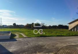 Land Marinha Grande Vieira de leiria Land Marinha Grande Vieira de leiria