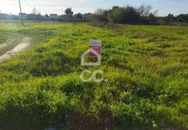 Land Marinha Grande Vieira de leiria Land Marinha Grande Vieira de leiria