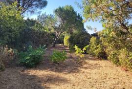 A Lovely Stone House With 170 M2 Of Living Space, A Garden, Terraces And Cellars. A Lovely Stone House With 170 M2 Of Living Space, A Garden, Terraces And Cellars.