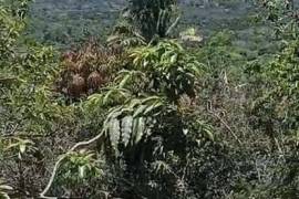 Land-Plot for sale in Bay-Of-Matanchen Mexico