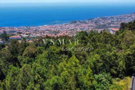 2,160 m² Rustic Land in Monte – Perfect for Agriculture and Sustainable Projects 2,160 m² Rustic Land in Monte – Perfect for Agriculture and Sustainable Projects