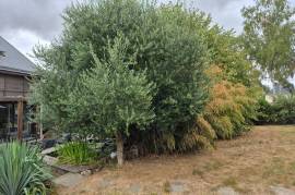 Houses for sale - 5 rooms - 128 m2 - CARENTOIR - (56910)