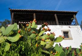 Beautiful Rustic Old Farmhouse for sale near Marvao, Portugal. Beautiful Rustic Old Farmhouse for sale near Marvao, Portugal.