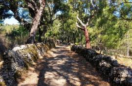 Beautiful Rustic Old Farmhouse for sale near Marvao, Portugal. Beautiful Rustic Old Farmhouse for sale near Marvao, Portugal.