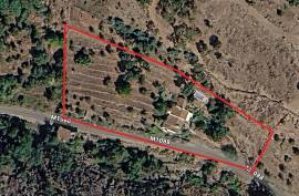 Beautiful Rustic Old Farmhouse for sale near Marvao, Portugal. Beautiful Rustic Old Farmhouse for sale near Marvao, Portugal.