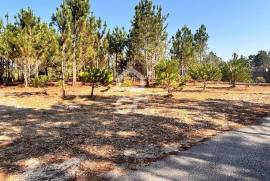 Land with an area of 1677 m2, inserted in the urban agglomeration, in a quiet area of Vieira de Leiria, about 3 km from Praia da Vieira, with a land use index of 1, served by a street with all the infrastructures, sanitation, water, electricity and natural gas.