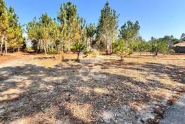 Land with an area of 1677 m2, inserted in the urban agglomeration, in a quiet area of Vieira de Leiria, about 3 km from Praia da Vieira, with a land use index of 1, served by a street with all the infrastructures, sanitation, water, electricity and natural gas.
