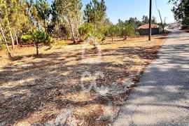Land with an area of 1677 m2, inserted in the urban agglomeration, in a quiet area of Vieira de Leiria, about 3 km from Praia da Vieira, with a land use index of 1, served by a street with all the infrastructures, sanitation, water, electricity and natural gas.