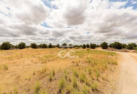 Land with 36 500 m2 for construction | Reguengos of Monsaraz