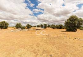 Land with 36 500 m2 for construction | Reguengos of Monsaraz