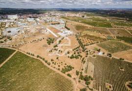 Land with 36 500 m2 for construction | Reguengos of Monsaraz