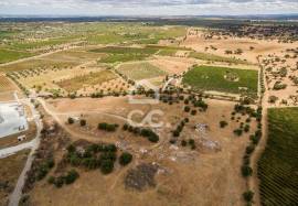 Land with 36 500 m2 for construction | Reguengos of Monsaraz