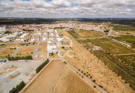 Land with 36 500 m2 for construction | Reguengos of Monsaraz