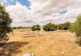 Land with 36 500 m2 for construction | Reguengos of Monsaraz