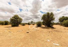 Land with 36 500 m2 for construction | Reguengos of Monsaraz