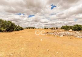 Land with 36 500 m2 for construction | Reguengos of Monsaraz