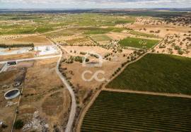 Land with 36 500 m2 for construction | Reguengos of Monsaraz