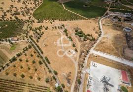 Land with 36 500 m2 for construction | Reguengos of Monsaraz