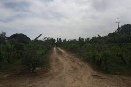 Land of 5,000 m2 with Well for Housing.