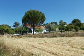 Farm of 27.440 m2 with a v3 villa with garage, bore hole and swimming pool about 1 hour from Lisbon.