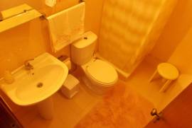 Farm of 27.440 m2 with a v3 villa with garage, bore hole and swimming pool about 1 hour from Lisbon.