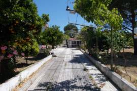 Farm of 27.440 m2 with a v3 villa with garage, bore hole and swimming pool about 1 hour from Lisbon.