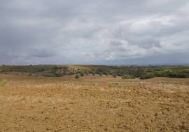 Land of 4,800 m2 for Warehouse Construction.