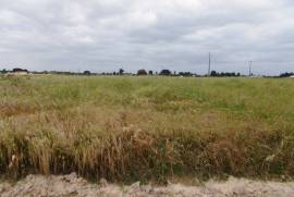 Land of 4,000 m2 for the construction of a single family home