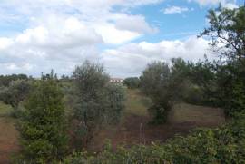 Agricultural land of 21,560 m2