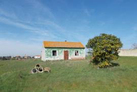 Cottage on 7,046 m2 of land with bore hole 1 hour from Lisbon.
