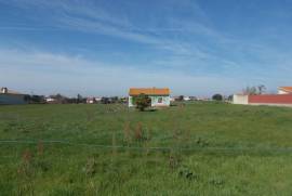 Cottage on 7,046 m2 of land with bore hole 1 hour from Lisbon.