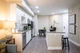 MODERN 1 BEDROOM APARTMENT IN DOWNTOWN LOS ANGELES
