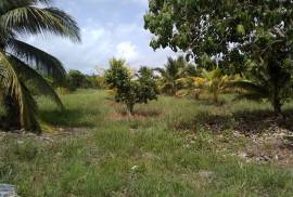 Small Farm near Valley of Peace Village Belize