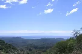 17 Hectares Blue Zone Ocean View Bargain