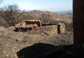 Rustic terrain with ruin in Alferce Rustic terrain with ruin in Alferce