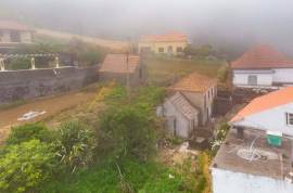 Traditional Madeiran House Traditional Madeiran House